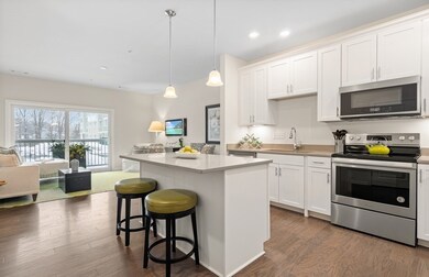 12105 Peters Farm Way unit 105, Westborough, MA 01581 - photo 3