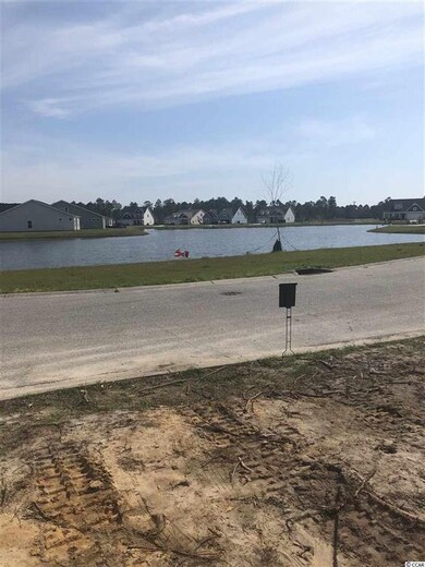 137 Astoria Park Loop unit Lot 10, Conway, SC 29526 - photo 2