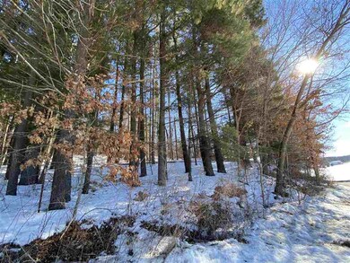 Lot 17 Pine Tree Rd, Jordan, WI 53566 - photo 7