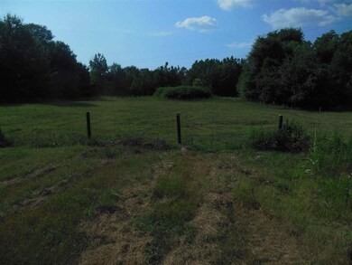 1317 Clinkscales Rd unit 10.88 acres, Anderson, SC 29624 - photo 5