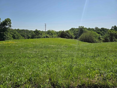 1004 Shagbark Rd, Decorah, IA 52101 - photo 4