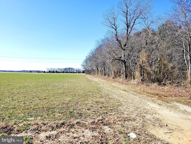 0 Gravel Branch Rd unit MDDO2001942, Hurlock, MD 21643 - photo 7