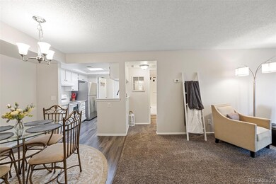 491 S Kalispell Way unit 203, Aurora, CO 80017 - photo 7