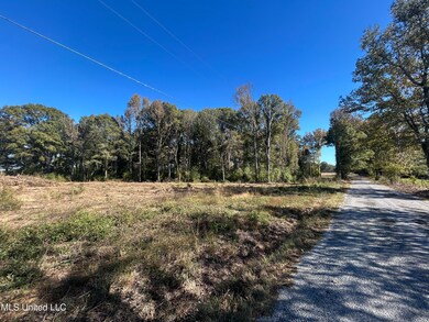 0 Warren Cook Rd, Mendenhall, MS 39114 - photo 4