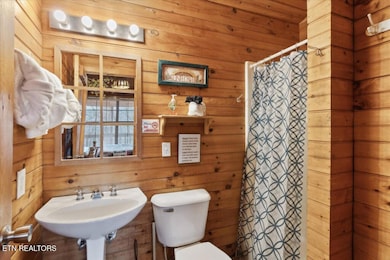 3328 Dirk Shell Rd, Sevierville, TN 37876 - photo 5