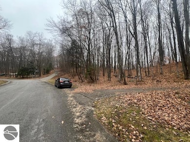 0000 Wasservalden St, Custer Township, MI 49615 - photo 5