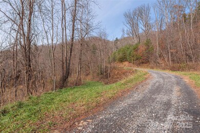 0 Hooper Cemetery Rd unit 31, Cullowhee, NC 28723 - photo 5