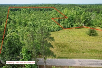 642 Grubby Rd, Wilsons, VA 23894 - photo 4