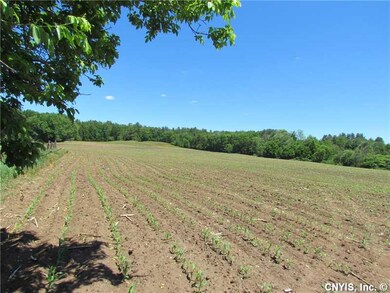 Land. Crop land beside the barn area right side