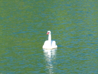 0 Miami Erie Cir unit Lot 14, Saint Marys, OH 45885 - photo 7