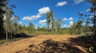 0 Peurifoy Rd unit 25510565, Walterboro, SC 29488 - photo 5