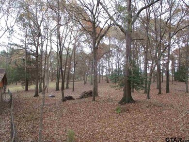 11059 County Road 290, Tyler, TX 75707 - photo 3