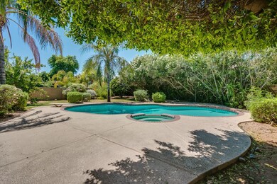 Extra cool  deck & large pool