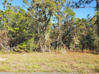 TBD SW 132nd Place, Ocala, FL 34473 - photo 3
