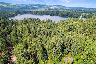 17937 Clear Lake Blvd SE, Yelm, WA 98597 - photo 6