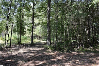 0 Lyman Lodge Rd, Lyman, SC 29365 - photo 5