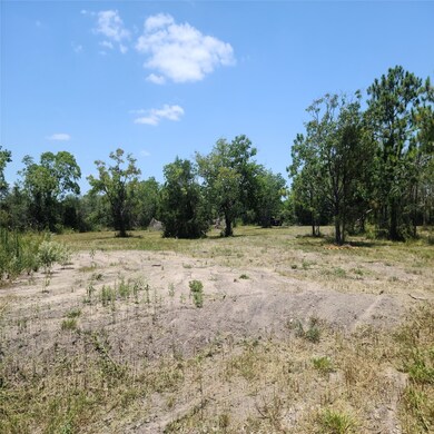 0 Whigham Way unit 98704315, Alvin, TX 77511 - photo 2