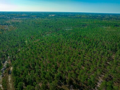 Hwy 45, Loris, SC 29569 - photo 7