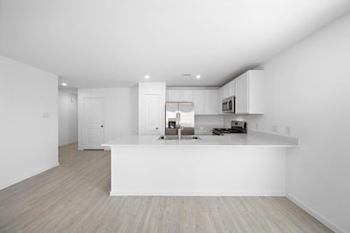 Open Kitchen to living area