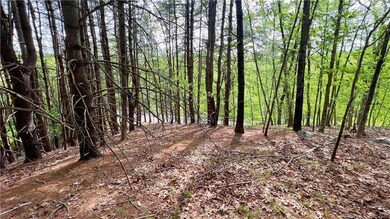 0 Storrs Rd unit 2 170571015, Mansfield Center, CT 06250 - photo 5