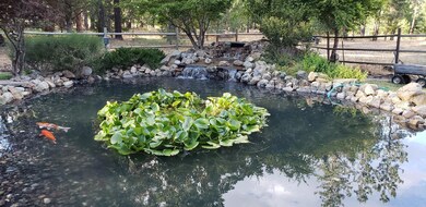 8054 W Evans Creek Rd, Rogue River, OR 97537 - photo 3