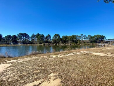 195 Burnside Rd, Fitzgerald, GA 31750 - photo 2