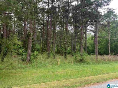 0000 Cane Creek Ln unit 15, Sylacauga, AL 35151 - photo 4