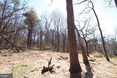 24 Locust Ln, Orwigsburg, PA 17961 - photo 4