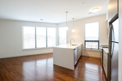 455 Harvard St unit 301, Brookline, MA 02446 - photo 4