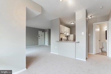 202 Park Terrace Ct SE unit 22, Vienna, VA 22180 - photo 7