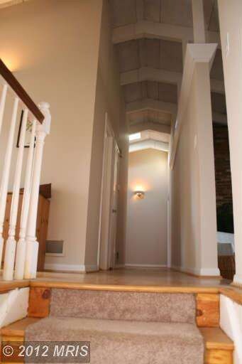 6371 Dockser Terrace, Falls Church, VA 22041 - photo 5