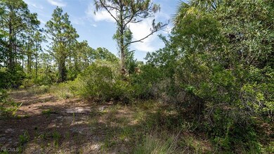 2409 62nd Ave NE, Rural Estates, FL 34120 - photo 6
