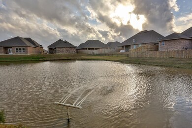 Neighborhood Pond Looking Towards House