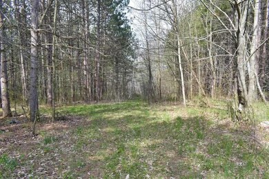 9917 Maple Grove Rd, Charlevoix, MI 49720 - photo 3