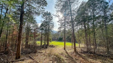 0 Jeanette Holladay Rd, Parsons, TN 38363 - photo 7