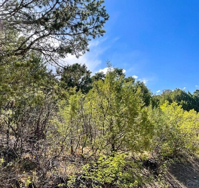 33011 Pine Nut Dr unit 63, Trinidad, CO 81082 - photo 7