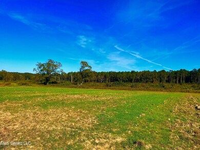 0 Darbun China Grove Rd unit 25665119, Sandy Hook, MS 39478 - photo 3