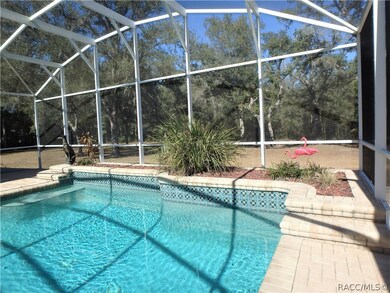 Salt Water Pool surrounded by pavers