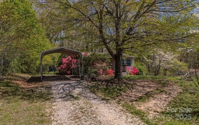 19 Blackberry Ln unit 42, Candler, NC 28715 - photo 5