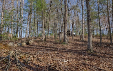 LT215 Old Toccoa Farm, Mineral Bluff, GA 30559 - photo 4