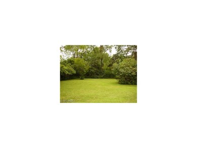 Wooded Back Yard