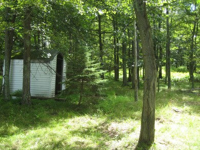 2103 Cramer Rd, Bushkill, PA 18324 - photo 3