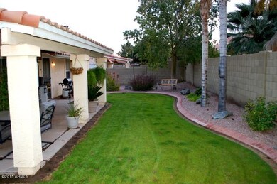 Back Yard 1