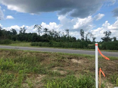 TBD W Highway 19 unit Lot 6, Loris, SC 29569 - photo 5