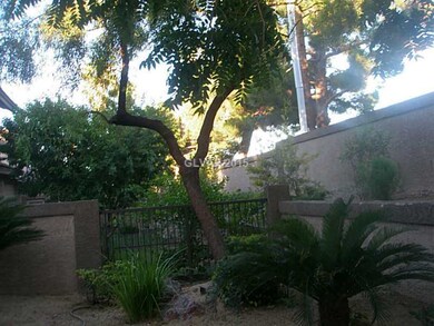 Patio/Deck. BACK PATIO WITH DESERT LANDSCAPING AND