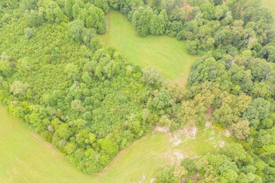 0 Johnny Bilbrey Ln, Cookeville, TN 38506 - photo 5