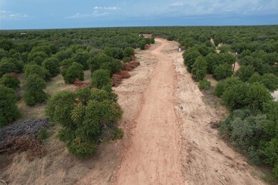 Tbd Pr 368, Hawley, TX 79525 - photo 2