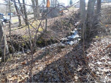 Creek on Side of Lot