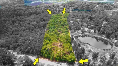 3.73 E S Ga Hwy 99 Hwy, Darien, GA 31305 - photo 6