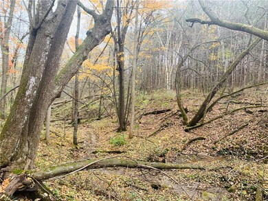 0 28th St unit 1537139, Chetek, WI 54728 - photo 4